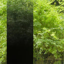 窓ガラス フィルム シート 目隠し ガラスフィルム 窓 防犯フィルム 飛散防止フィルム グラデーション 黒 イルミナ・ブラック diy 3M ファサラ SH2BKIM 幅1270mm 【納期A】【lic-gf-3m-009】