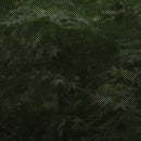 窓ガラス フィルム シート 目隠し ガラスフィルム 窓 防犯フィルム 飛散防止フィルム グラデーション 黒 イルミナ・ブラック diy 3M ファサラ SH2BKIM 幅1270mm 【納期A】【lic-gf-3m-009】