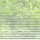 窓ガラス フィルム シート 目隠し ガラスフィルム 窓 防犯フィルム 飛散防止フィルム ボーダー 柄 白 ホワイト ベネシャン diy 3M ファサラ SH2FGVN 幅1270mm 【納期A】【lic-gf-3m-030】