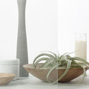 窓ガラス フィルム シート 目隠し ガラスフィルム 窓 防犯フィルム 飛散防止フィルム 水玉 柄 ビスタ プリズム・ドット diy 3M ファサラ SH2FGVI 幅1270mm 【納期A】【lic-gf-3m-039】