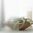 ガラスフィルム 窓 シート 目隠し 窓ガラス フィルム 防犯フィルム 飛散防止フィルム 曇りガラス調 すりガラス風 ローザンヌ diy 3M ファサラ SH2EMLA 幅1270mm 【納期A】【lic-gf-3m-057】