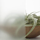 ガラスフィルム 窓 シート 目隠し 防犯 窓ガラス フィルム 飛散防止フィルム 曇りガラス調 すりガラス風 ファインクリスタル diy 3M ファサラ SH2FNCR 幅1524mm 【納期A】【lic-gf-3m-065】