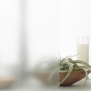 ガラスフィルム 窓 シート 目隠し 防犯 窓ガラス フィルム 飛散防止フィルム 曇りガラス調 すりガラス風 ファインクリスタル diy 3M ファサラ SH2FNCR 幅1524mm 【納期A】【lic-gf-3m-065】