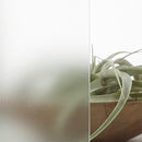 ガラスフィルム 窓 シート 目隠し 外貼り 屋外 防犯 窓ガラス フィルム 飛散防止 曇りガラス調 すりガラス風 マットクリスタル2 ファサラ SH2MACRX2 幅1270mm 【納期A】【lic-gf-3m-066】