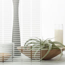 ガラスフィルム 窓 3M ウインドウフィルム ウィンドウフィルム Fasara ファサラ Scotchtint スコッチティント スリーエム diy 確認用 お試し サンプル 色見本 【納期A】【lic-gf-3m-sample】