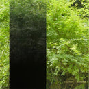 ガラスフィルム 窓 3M ウインドウフィルム ウィンドウフィルム Fasara ファサラ Scotchtint スコッチティント スリーエム diy 確認用 お試し サンプル 色見本 【納期A】【lic-gf-3m-sample】