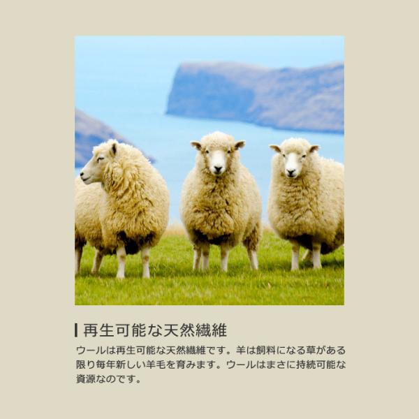 毛氈 赤 紺 茶室 和室 毛せん 玄関 防炎 お寺 神社 仏閣 切り売り 生地 結婚式 展示会 展覧会 畳 階段 布 敷き方 幼稚園 店舗 あかね毛氈 混紡 巾1.82m 厚み2mm 【納期C】【lic-kff-010】