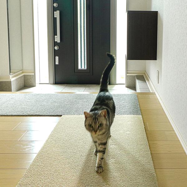 Rugtasu 廊下敷きマット 60×300cm
