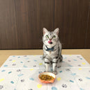 ペットマット ペット用 ランチョンマット 餌場 拭ける おしゃれ モロッカン モロッコタイル 猫 ネコ 犬 抗菌 クッション性 塩ビ すべり止め 滑り止め かわいい 【納期C】【lic-kku-135】