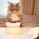 ペットマット ペット用 ランチョンマット 餌場 拭ける おしゃれ モロッカン モロッコタイル 猫 ネコ 犬 抗菌 クッション性 塩ビ すべり止め 滑り止め かわいい 【納期C】【lic-kku-135】