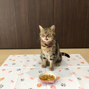 ペットマット ペット用 ランチョンマット 餌場 拭ける おしゃれ モロッカン モロッコタイル 猫 ネコ 犬 抗菌 クッション性 塩ビ すべり止め 滑り止め かわいい 【納期C】【lic-kku-135】