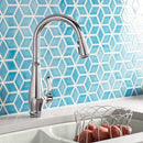 キッチン蛇口 台所 水栓 蛇口 おしゃれ 交換 リフォーム スタイリッシュ ホテル レストラン 家庭用 KOHLER コーラー アメリカ 水回り メーカー 高級 ブランド 【納期D】【lic-klr-022】