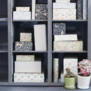 マスキングテープ mt 幅広 マステ リメイク diy おしゃれ 家具 壁紙 使い方 貼ってはがせる 賃貸 撥水 トイレ キッチン フリース MTCAF2343 【納期A】【lic-kmi-mt-024-6】