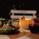 ソーラーライト 屋外 防水 庭 ガーデンライト 玄関 鳥 キャンドル風 リアル LED 充電式 かわいい おしゃれ キャンプ アウトドア 園芸用品 【納期B】【lic-ksm-0036】