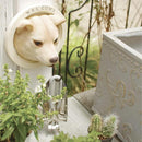 ウォールフック 猫 ネコ 犬 イヌ おしゃれ 止め金具 壁面 かわいい 屋外 屋内 庭 ガーデニング 玄関 インテリア リビング ハチワレ トイプードル チワワ 柴犬 【納期B】【lic-ksm-0048】