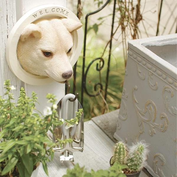 ウォールフック 猫 ネコ 犬 イヌ おしゃれ 止め金具 壁面 かわいい 屋外 屋内 庭 ガーデニング 玄関 インテリア リビング ハチワレ トイプードル チワワ 柴犬 【納期B】【lic-ksm-0048】