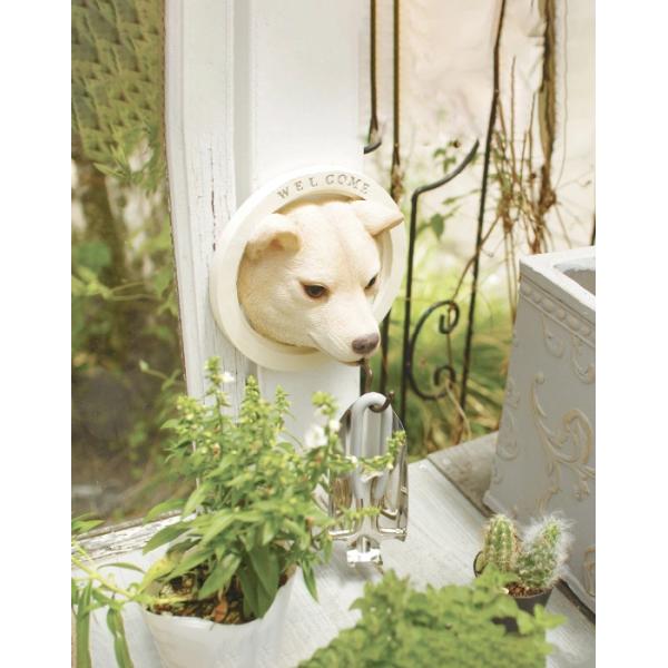 ウォールフック 猫 ネコ 犬 イヌ おしゃれ 止め金具 壁面 かわいい 屋外 屋内 庭 ガーデニング 玄関 インテリア リビング ハチワレ トイプードル チワワ 柴犬 【納期B】【lic-ksm-0048】