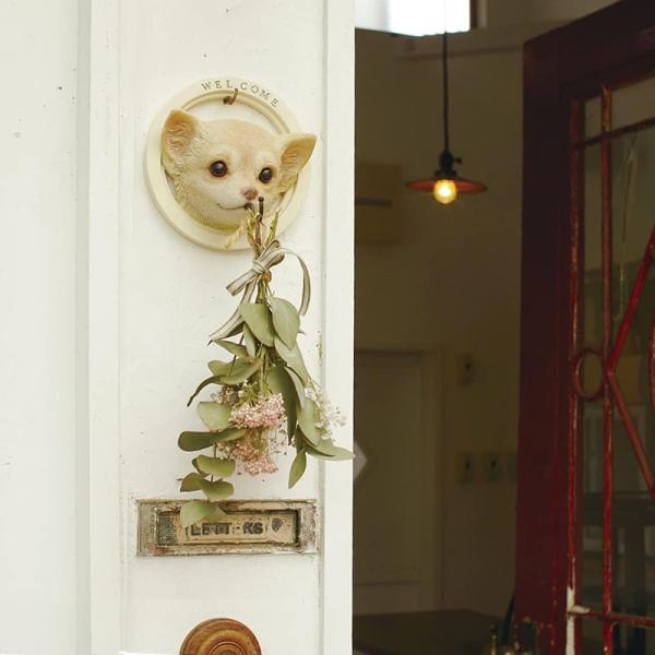ウォールフック 猫 ネコ 犬 イヌ おしゃれ 止め金具 壁面 かわいい 屋外 屋内 庭 ガーデニング 玄関 インテリア リビング ハチワレ トイプードル チワワ 柴犬 【納期B】【lic-ksm-0048】