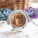 写真立て 猫用 ネコ 犬用 イヌ ペット 遺影 フォトフレーム 仏壇 メモリアル ガラス 小さい 小型 仏具 遺影 おしゃれ モダン お供え お悔み コンパクト 手元供養 【納期B】【lic-ksm-0085】