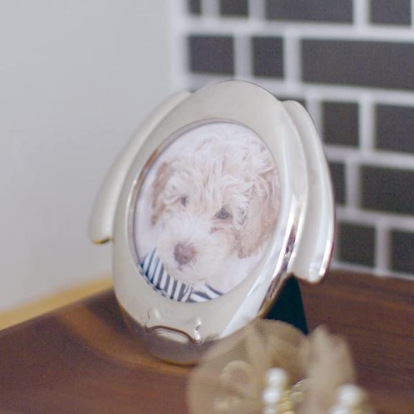 写真立て 猫用 ネコ 犬用 イヌ ペット 遺影 フォトフレーム 仏壇 メモリアル ガラス 小さい 小型 仏具 遺影 おしゃれ モダン お供え お悔み コンパクト 手元供養 【納期B】【lic-ksm-0085】
