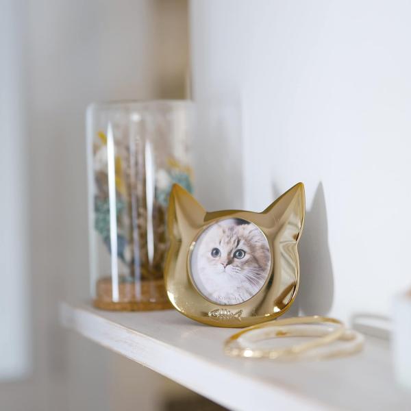 写真立て 猫用 ネコ 犬用 イヌ ペット 遺影 フォトフレーム 仏壇 メモリアル ガラス 小さい 小型 仏具 遺影 おしゃれ モダン お供え お悔み コンパクト 手元供養 【納期B】【lic-ksm-0085】