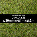 人工芝 幅 1m 長さ 2m 厚み 30mm diy 庭 マット ロール 屋上 オフィス 屋内 施工 設置 テラス ベランダ 保育園 幼稚園 学校 ガーデニング 【納期A】【lic-mrh-0019】