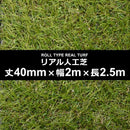 人工芝 幅 2m 長さ 2.5m 厚み 40mm diy 庭 ロール サッカー フットサル 屋上 施工 設置 ベランダ 学校 ゴルフ 練習場 テニス ガーデニング 【納期A】【lic-mrh-0055】