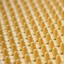 プール用 ウォーキングマット 床材 底 沈める 水中 ロール ジョイントマット 歩行用 運動 体操 施設 店舗 トレーニング ジム 水泳 施工 【納期B】【lic-mzw-0036】