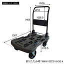 台車 折りたたみ 折り畳み キャリー 屋外用 アウトドア キャンプ 耐荷重 100kg 日本製 国産 オフロード対応 荒地 荷ズレ防止 【納期B】【lic-nit-0010】