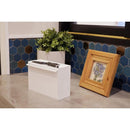 マスク収納ケース マスク入れ マスクケース マスク収納ボックス マグネット 磁石 スチール面 壁 貼りつけ 壁掛け シンプル おしゃれ インテリア 布マスク対応 【納期B】【lic-nit-0014】