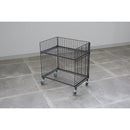 サイドワゴン ワイヤー ワゴン 収納 ラック キャスター付き インダストリアル 無骨 おしゃれ 男前 棚 2段 リビング 玄関 ガレージ 車庫 【納期B】【lic-nit-0029】