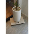 台車 キャリー キャスター付き 運搬 土台 日本製 国産 物置き 丈夫 安定感 安心設計 連結可能 耐荷重 80kg 小型 屋内用 室内用 家庭用 【納期B】【lic-nit-0036】