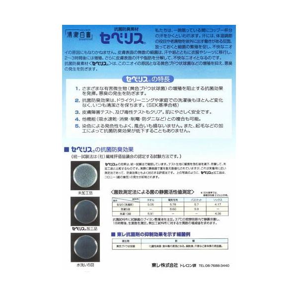 廊下用マット 廊下敷きカーペット 65×120cm アラベスク 柄 唐草 模様 装飾 アラビア風 幾何学的文様 抗菌 防臭 吸水 速乾 滑り止め 日本製 おしゃれ 高級感 【納期B】【lic-sas-001】