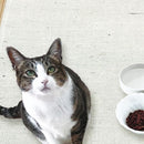 爪とぎ 猫 麻 爪研ぎ 猫用爪とぎ おしゃれ 爪とぎシート 爪とぎマット 爪研ぎシート 爪研ぎマット ネコ ジュート 天然素材 滑り止め すべり止め 床 防水 日本製 【納期B】【lic-sas-251】