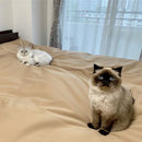 防水シート カバー マット ソファーカバー ベッドカバー ラグ シート 敷き物 カーペット すべり止め 車内 犬 猫 おもらし 尿 おしっこ 抜け毛 汚れ 傷 防止 【納期B】【lic-sas-343】