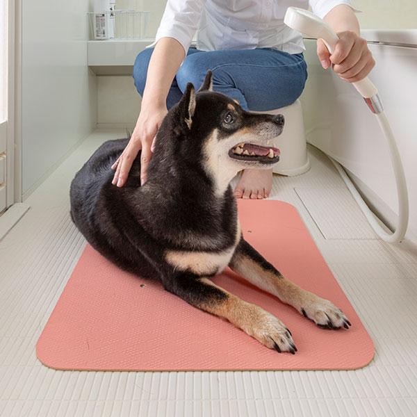 ペット用シャンプーマット 洗面台 風呂場 洗い場 滑り止め 犬 猫