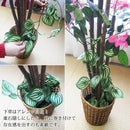 観葉植物 造花 フェイクグリーン 大型 造木 インテリアグリーン おしゃれ ベンジャミン ブーゲンビリア 観音竹 和風 室内 オフィス 職場 店舗 玄関 人工 リアル 【納期D】【lic-tan-609】