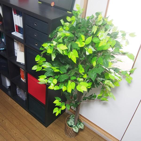 観葉植物 造花 フェイクグリーン 大型 造木 インテリアグリーン おしゃれ ベンジャミン ブーゲンビリア 観音竹 和風 室内 オフィス 職場 店舗 玄関 人工 リアル 【納期D】【lic-tan-609】