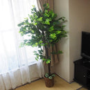 観葉植物 造花 フェイクグリーン 大型 造木 インテリアグリーン おしゃれ ベンジャミン ブーゲンビリア 観音竹 和風 室内 オフィス 職場 店舗 玄関 人工 リアル 【納期D】【lic-tan-609】