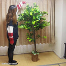 観葉植物 造花 フェイクグリーン 大型 造木 インテリアグリーン おしゃれ ベンジャミン ブーゲンビリア 観音竹 和風 室内 オフィス 職場 店舗 玄関 人工 リアル 【納期D】【lic-tan-609】