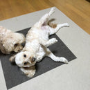 タイルカーペット 30x30 犬用カーペット フローリング 滑り止めマット 介護 老犬 床暖房対応 安い 猫 撥水 吸着 置くだけ すべり止め 犬床ずれ防止マット 日本製 【納期B】【lic-tjt-006-2】