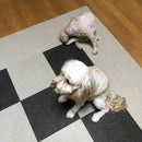 タイルカーペット 撥水 猫 タイルマット 犬 ペット 吸着 置くだけ 敷くだけ セット すべり止め 厚み 賃貸 マンション 原状復帰 フローリング リビング 30×30cm 【納期B】【lic-tjt-006】