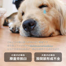 タイルカーペット タイルマット 犬 イヌ ペット 猫 ネコ 撥水 厚み 吸着 置くだけ ずれない 滑り止め 賃貸対応 マンション 原状回復 玄関 洗える 日本製 45×45 【納期B】【lic-tjt-007】