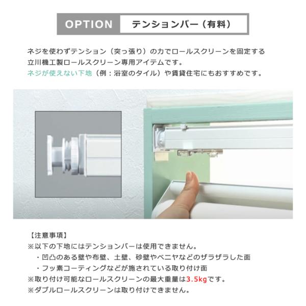 ロールスクリーン オーダー サイズ W25-40×H30-90cm タチカワブラインド グループ 立川機工 日本製 国産 安心 安全 簡単 取り付け 設置 カーテンレール対応 【納期C】【lic-tkk-rol-001】