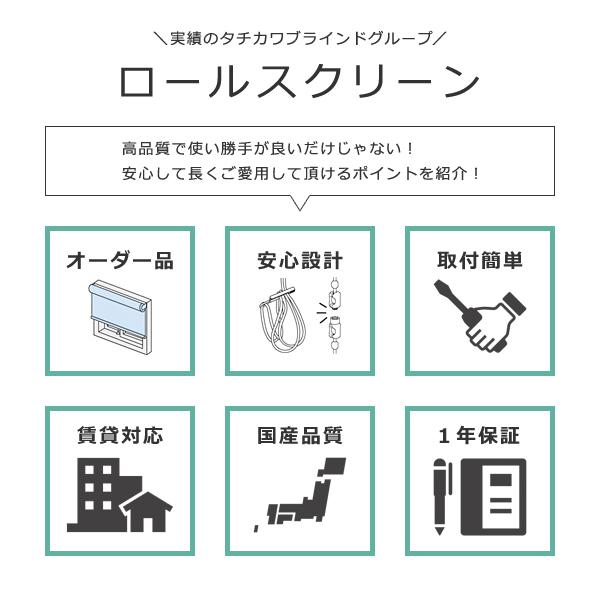 ロールスクリーン 防炎 立川機工 タチカワ おしゃれ 無地 オーダー 取り付け カーテンレール対応 日本製 ロールカーテン クローゼット 間仕切り 職場 事務所 【納期C】【lic-tkk-rol-112】