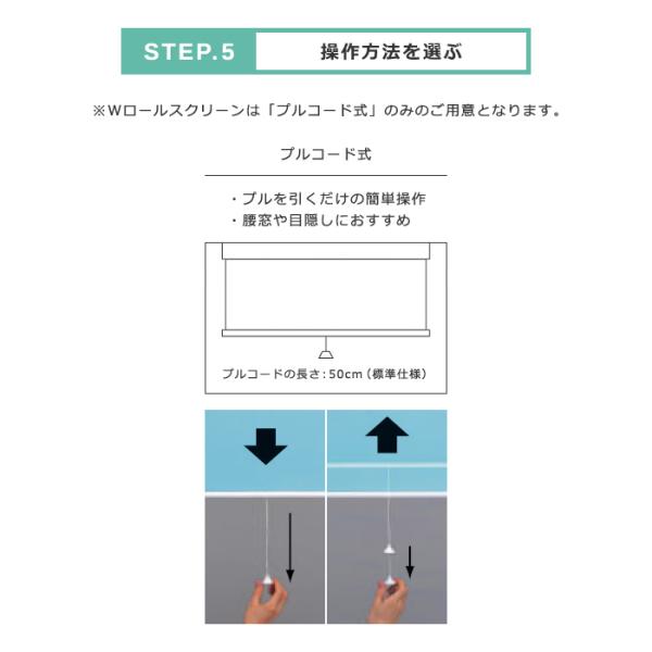 ダブルロールスクリーン おしゃれ コンパクト 省スペース シースルー レース 生地 W ロールスクリーン 立川機工 タチカワブラインドグルー プ日本製 無地 DIY 【納期C】【lic-tkk-rol-350】