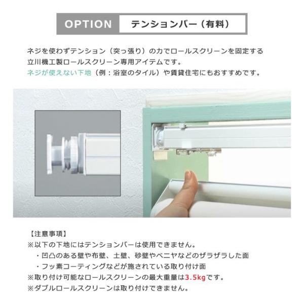 ロールスクリーン 抗菌 防臭 オーダー サイズ W25-40×H91-180cm おしゃれ 間仕切り プルコード チェーン操作 簡単 取り付け 賃貸 カーテンレール 天井付け 正面 【納期C】【lic-tkk-rol-443】