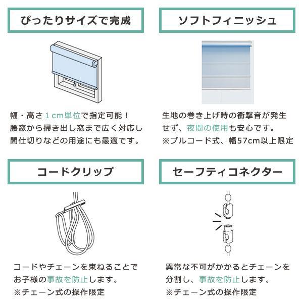 ロールスクリーン 抗菌 防臭 オーダー サイズ W25-40×H91-180cm おしゃれ 間仕切り プルコード チェーン操作 簡単 取り付け 賃貸 カーテンレール 天井付け 正面 【納期C】【lic-tkk-rol-443】