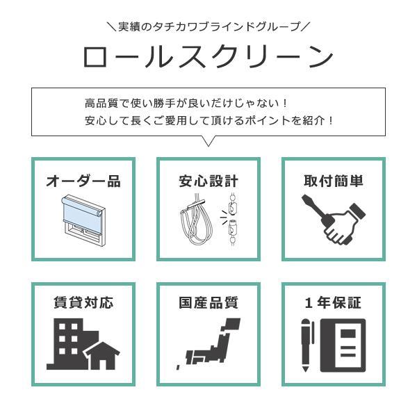 ロールスクリーン サンプル 色見本 遮光 おしゃれ 取り付け オーダーメイド 遮熱 防炎 洗える 抗菌 防臭 日本製 国産 タチカワブラインドグループ 立川機工 【納期B】【lic-tkk-rol-sample】
