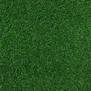 人工芝 サンプル 見本 東レ TORAY スパックターフ ロール人工芝 庭 diy 法人 業務用 人口芝生 タイル マット リアル 人工 芝 屋上 芝生 確認用 サンプル 色見本 【納期A】【lic-tor-sample】